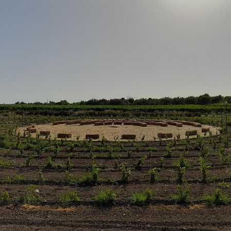 Cozzo Del Parroco - Ospitalita Tra I Vigneti Villa Granelli Kültér fotó
