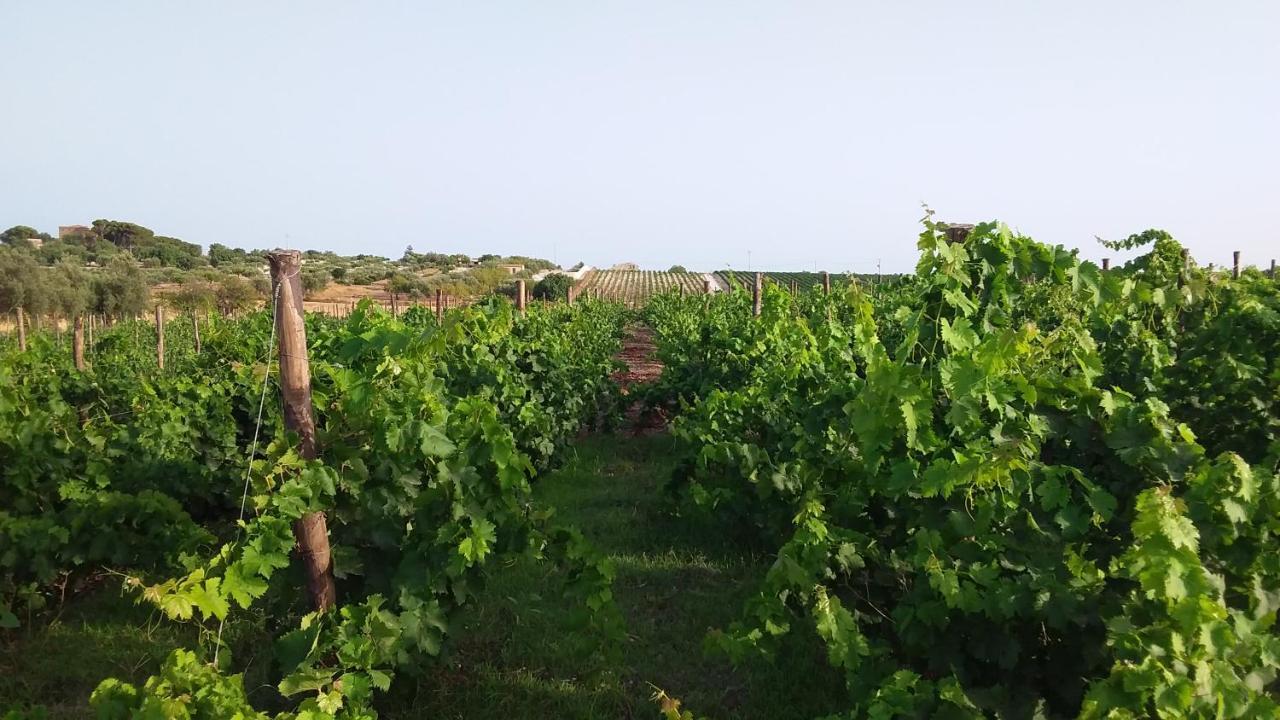 Cozzo Del Parroco - Ospitalita Tra I Vigneti Villa Granelli Kültér fotó