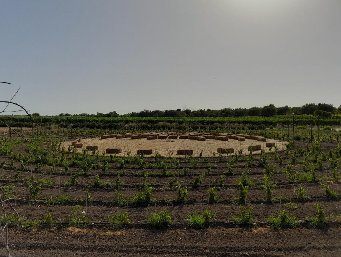 Cozzo Del Parroco - Ospitalita Tra I Vigneti Villa Granelli Kültér fotó